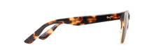 Cargar imagen en el visor de la galería, Perico
